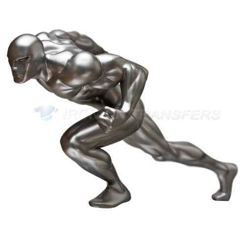 Silver Surfer Iron-on Stickers (Heat Transfers)NO.498
